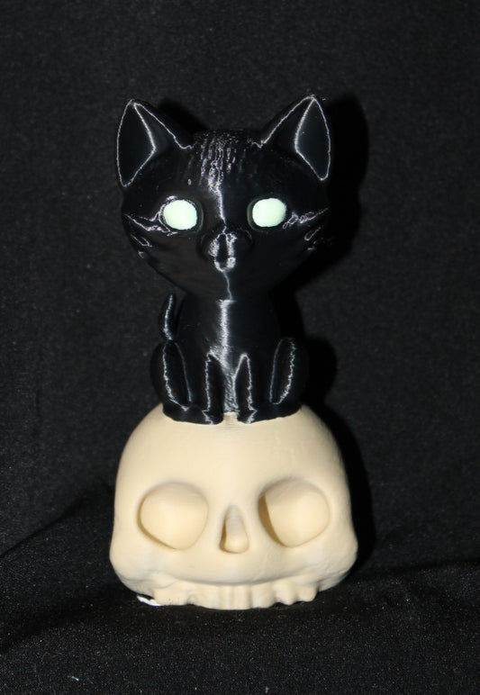 Cat on a skull